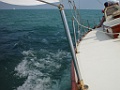 DSC00731
