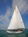 DSF_0187