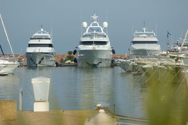 DSC_3131